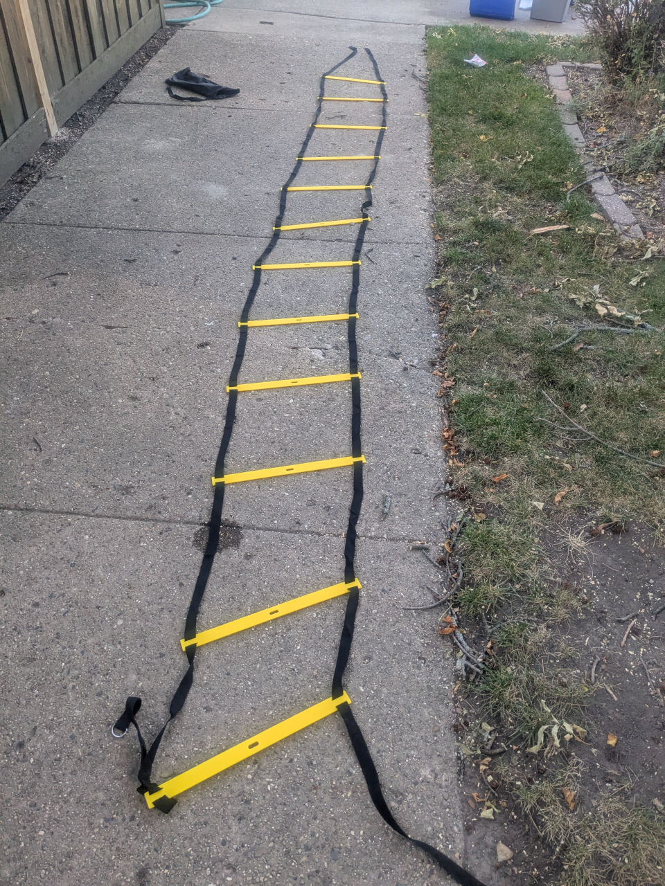 Firebreather Agility Ladder