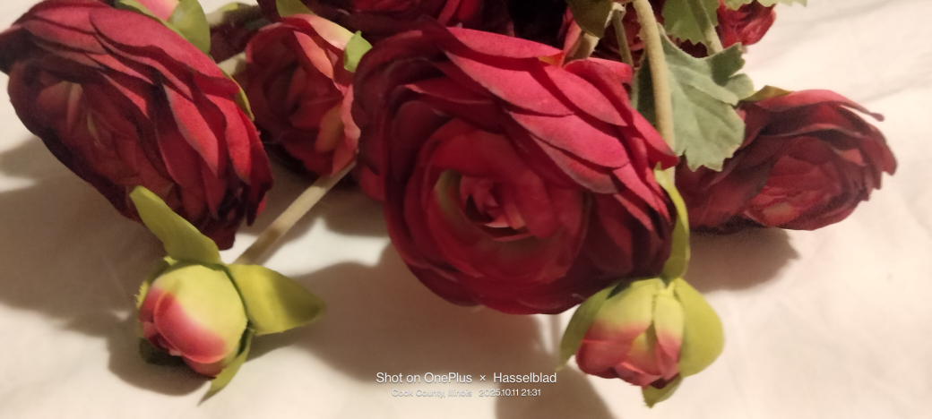 Ranunculus Flower Bouquet - photo 3