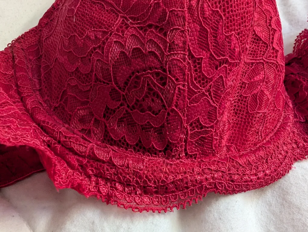 NWT Red Lace Bra 36DD image indicator(2)