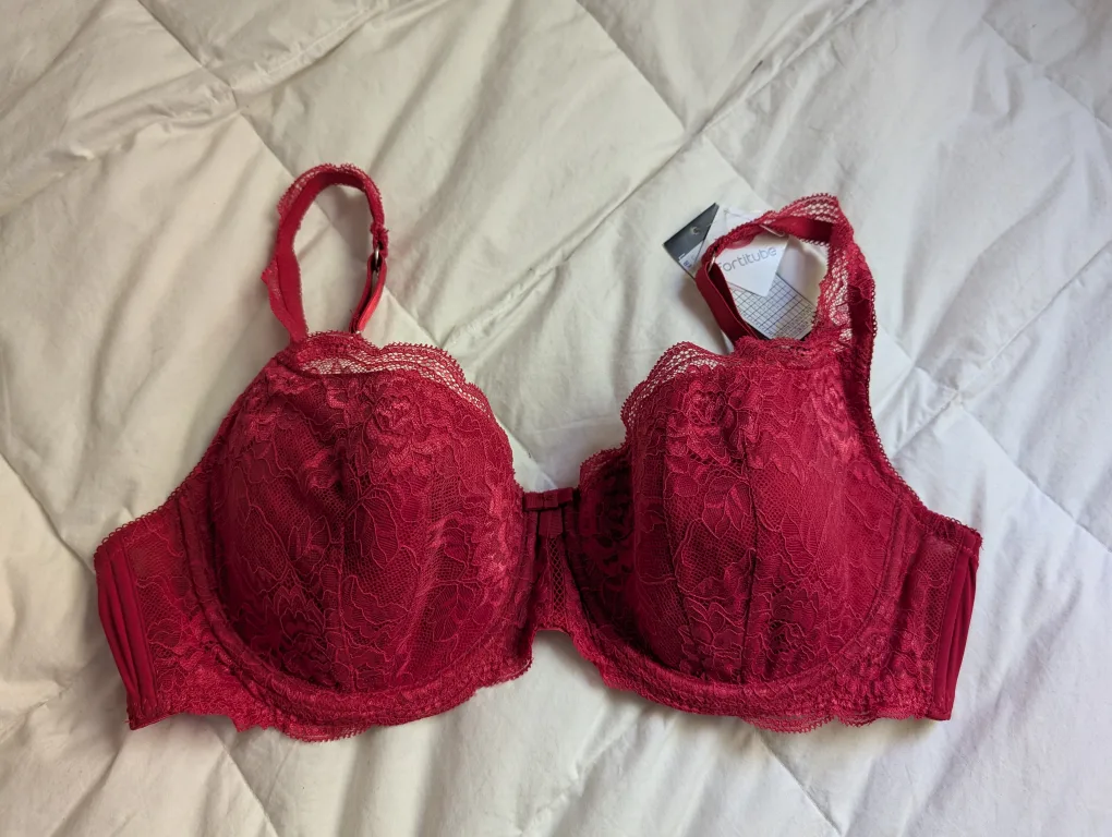 NWT Red Lace Bra 36DD image indicator(3)