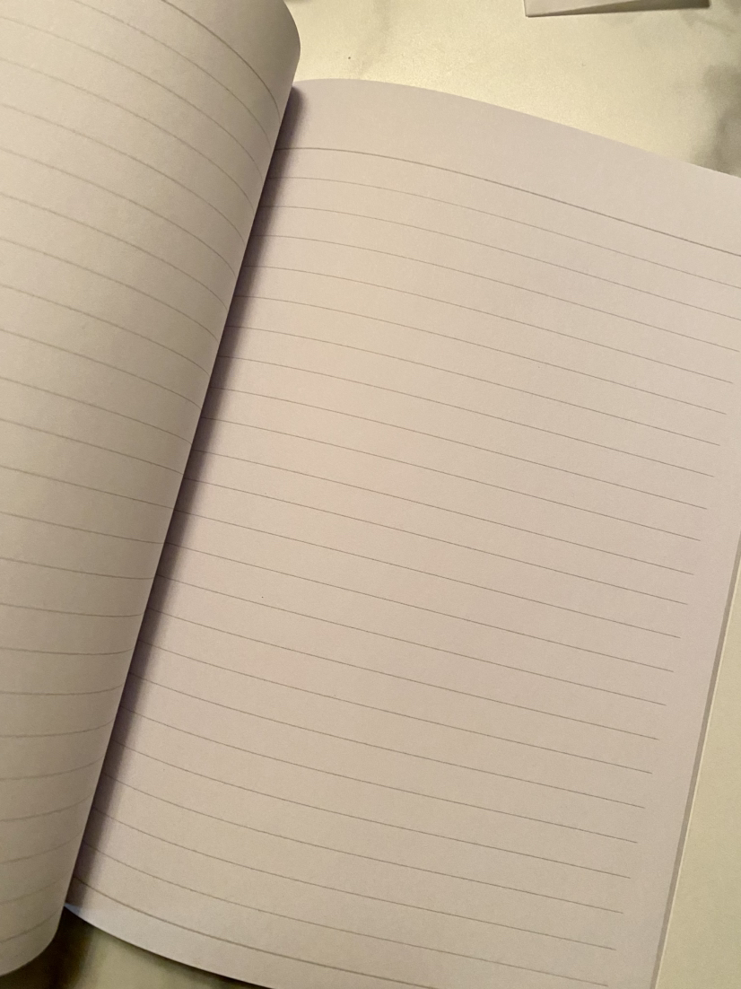 NEW Taylor Swift Notebook - photo 3