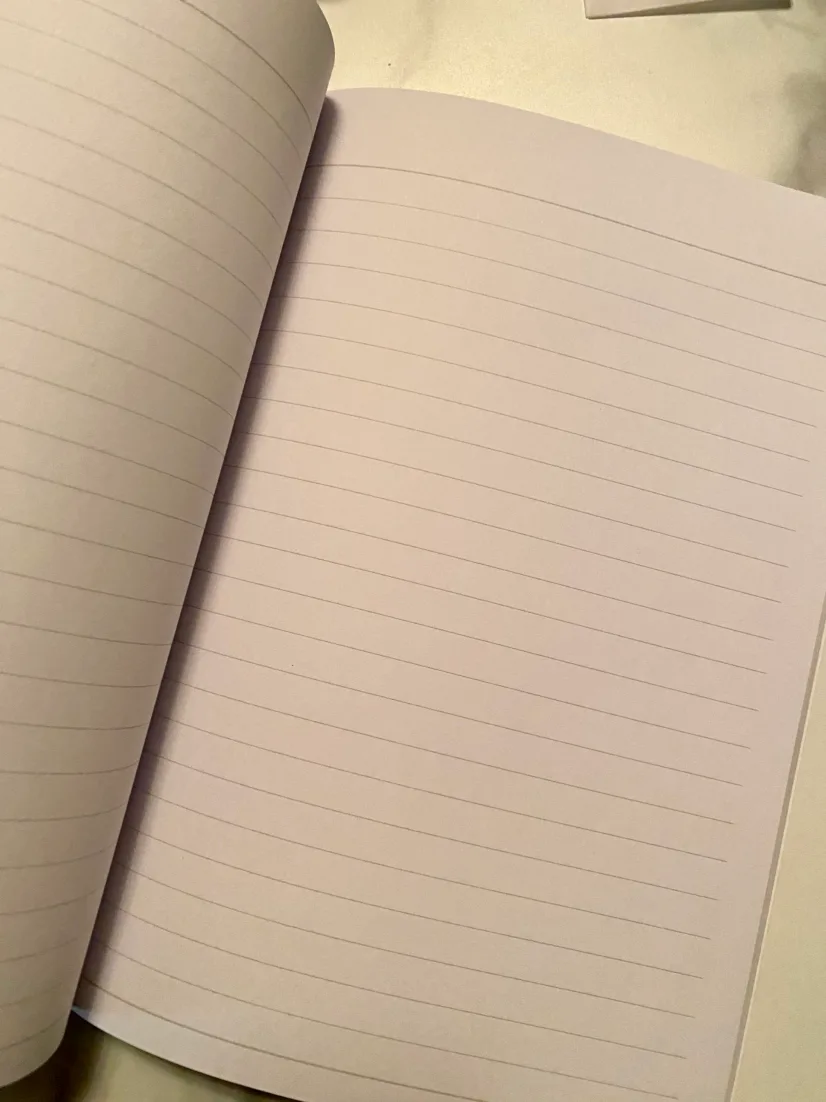 NEW Taylor Swift Notebook image indicator(3)