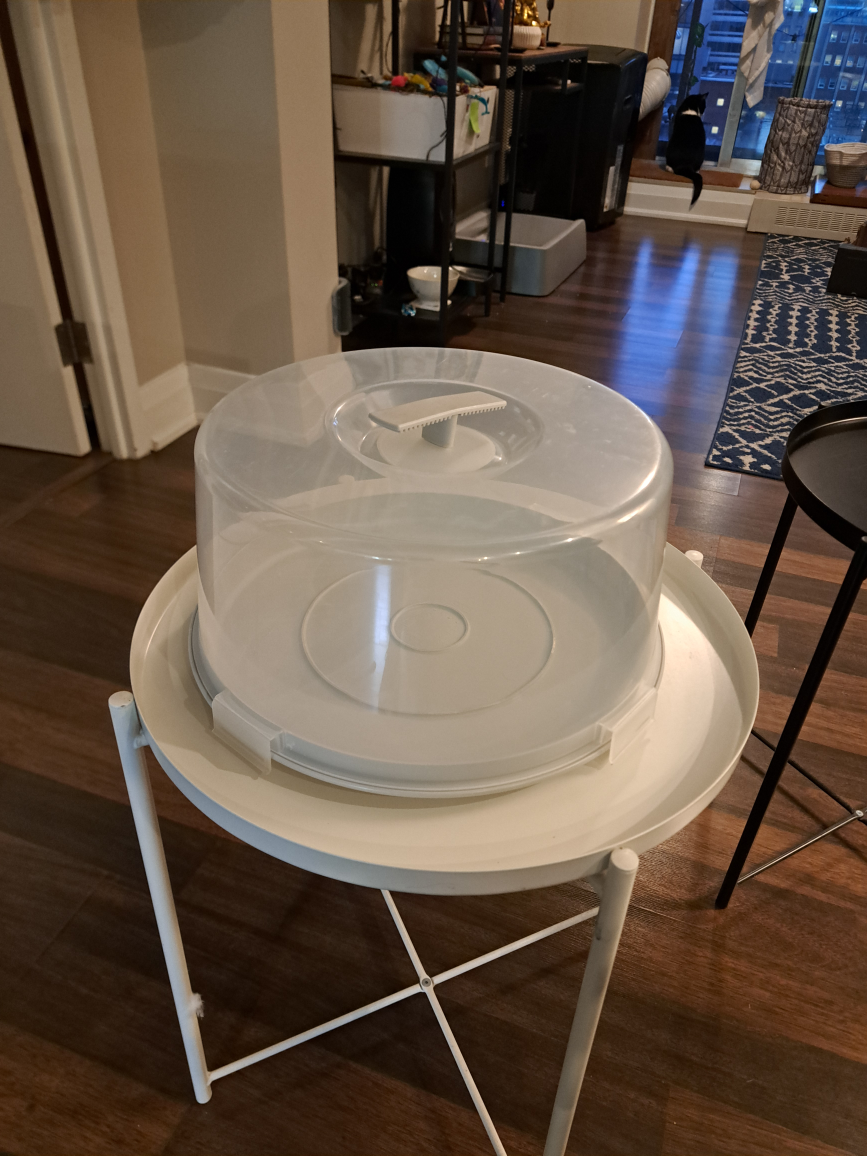 Cake Carrier with Lid