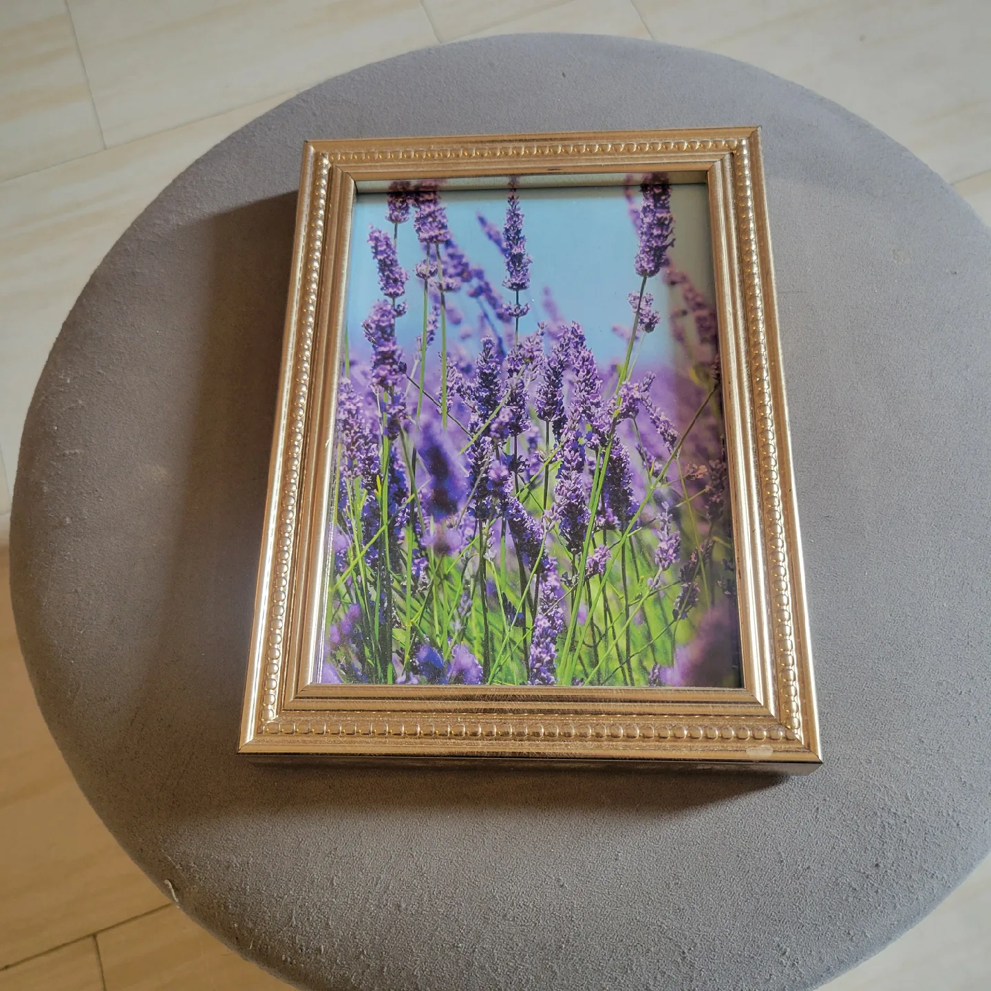 Framed Lavender Print thumbnail
