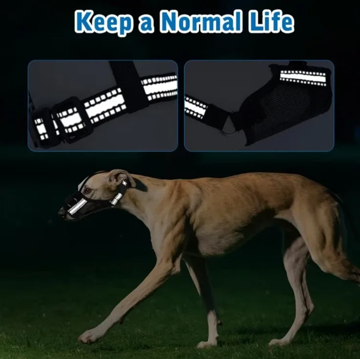 Dog Mesh Muzzle - Adjustable & Breathable - Size M image indicator(2)
