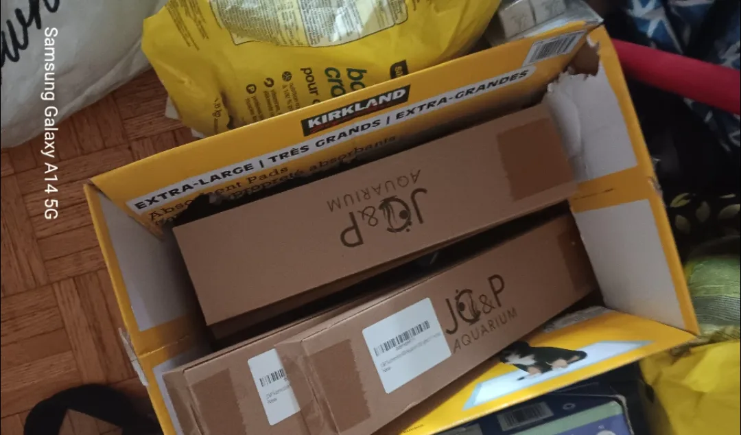 J&P Aquarium image indicator(5)