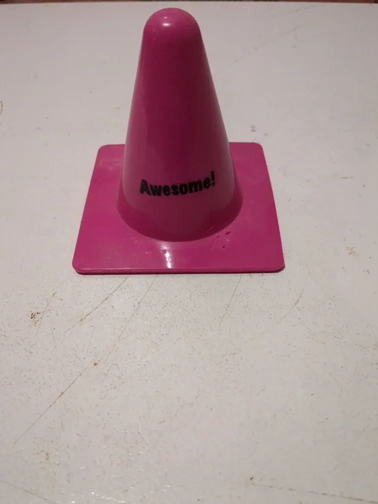 Pink Plastic Cone - "Awesome!"
