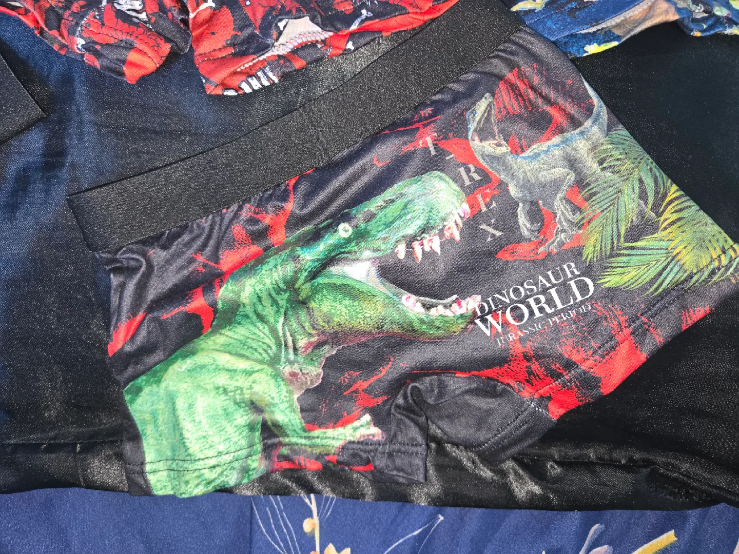 Dinosaur Print Boys Underwear - Size 4Y✨️🩲 image indicator(4)