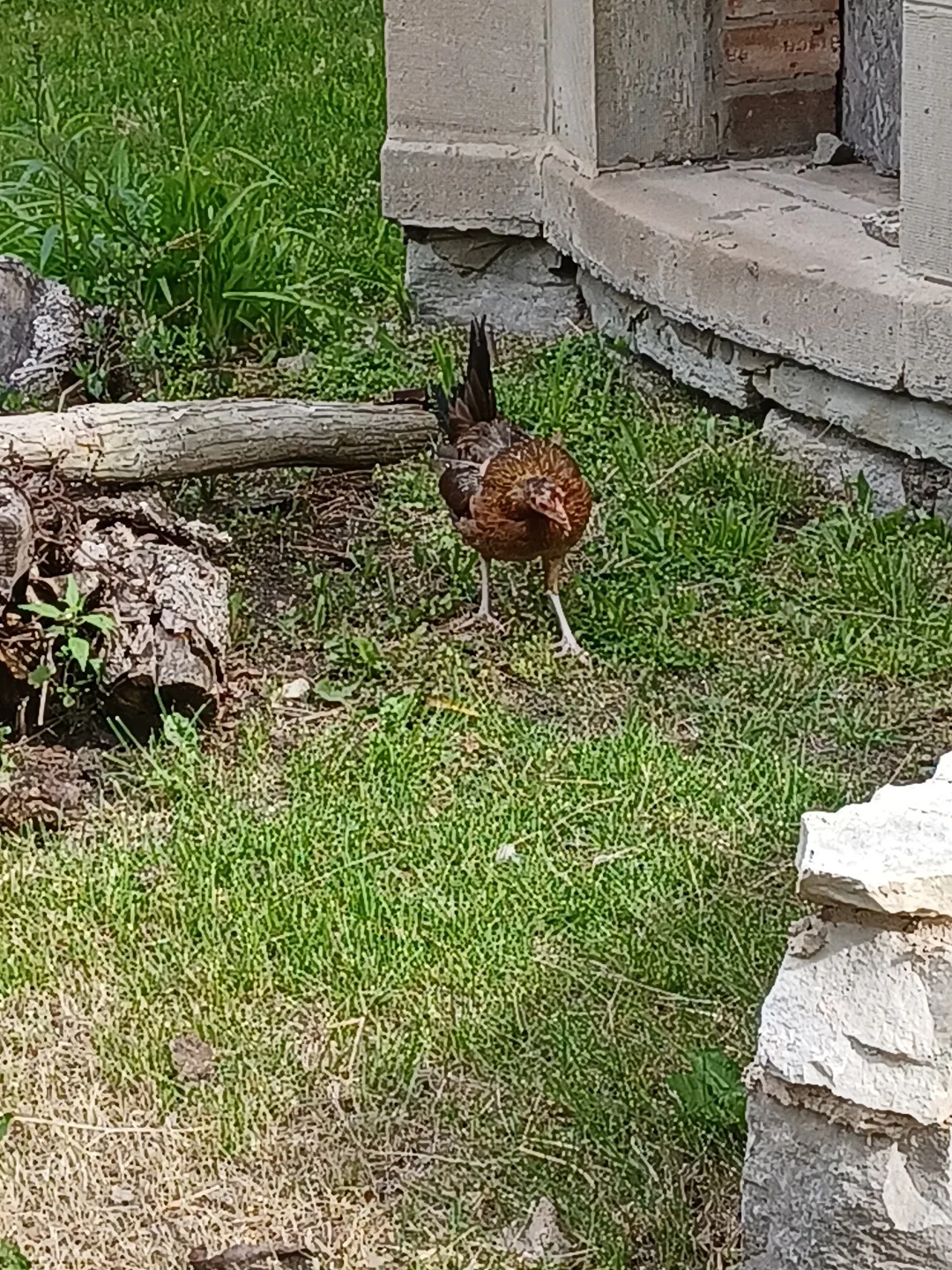 Apartment for rent image indicator(7)