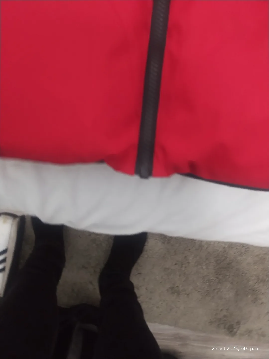 BCBG Paris Red Puffer Jacket Size 2X image indicator(2)