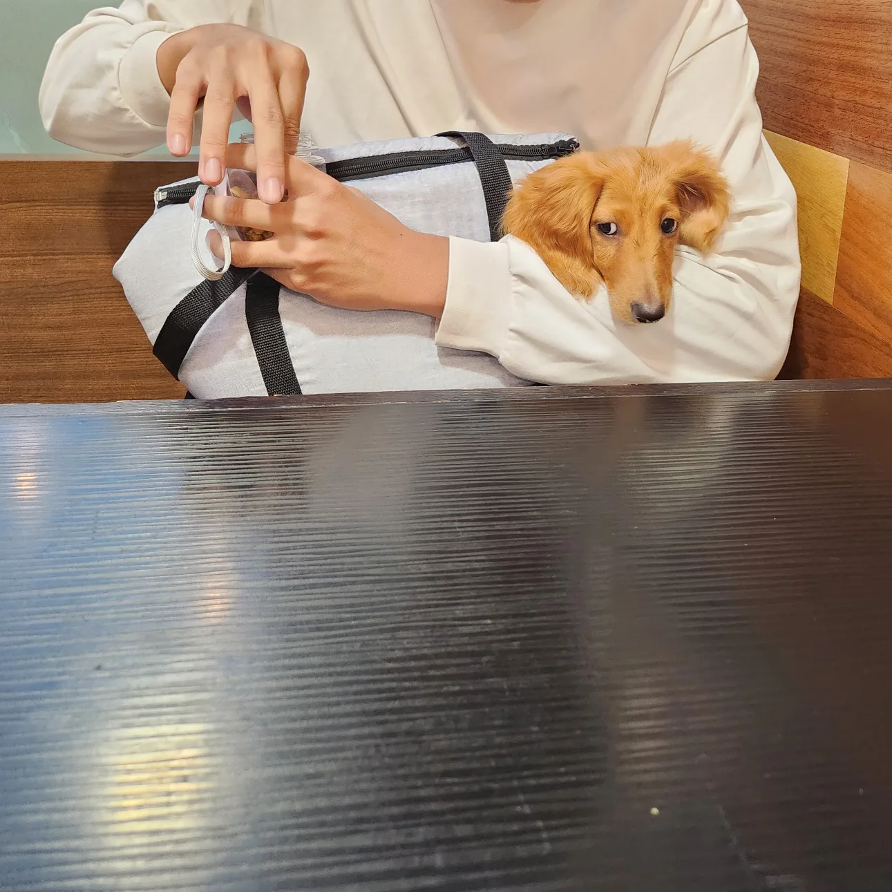 Pet Carrier Bag image indicator(3)