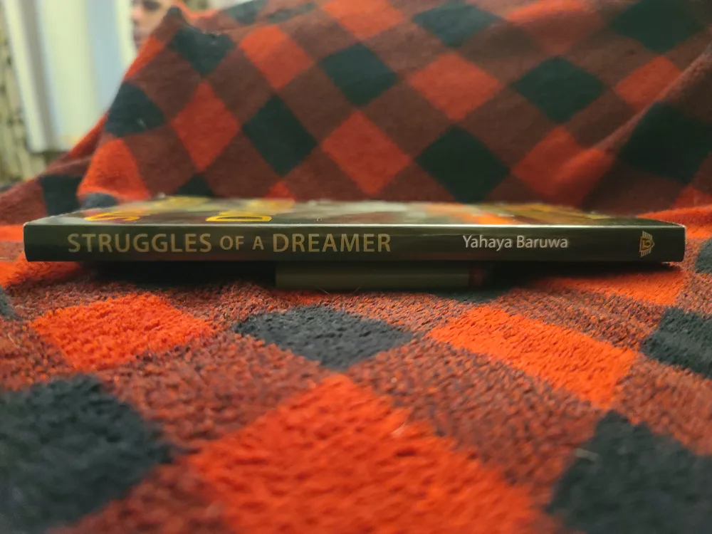 Struggles of a Dreamer by Yahaya Baruwa image indicator(2)