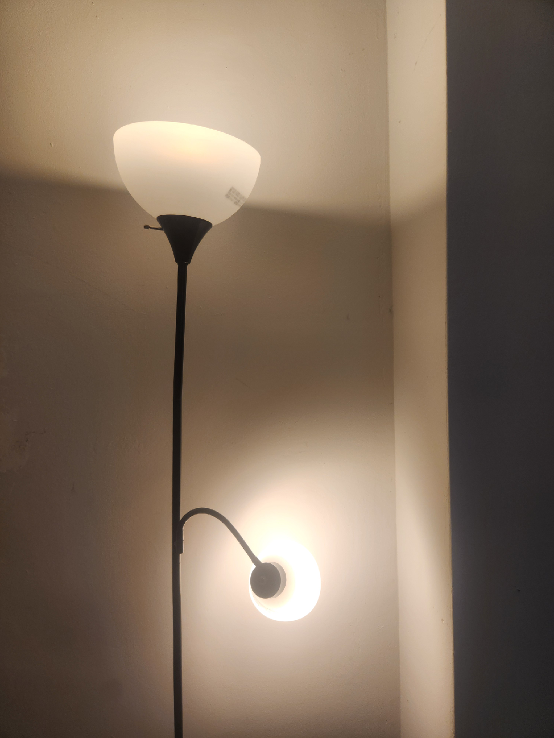 Floor Lamp with Reading Light