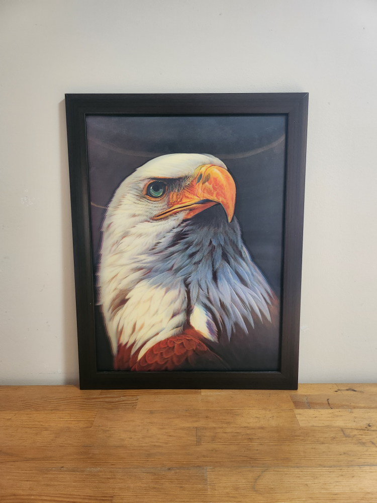 3D Eagle Art Print Framed