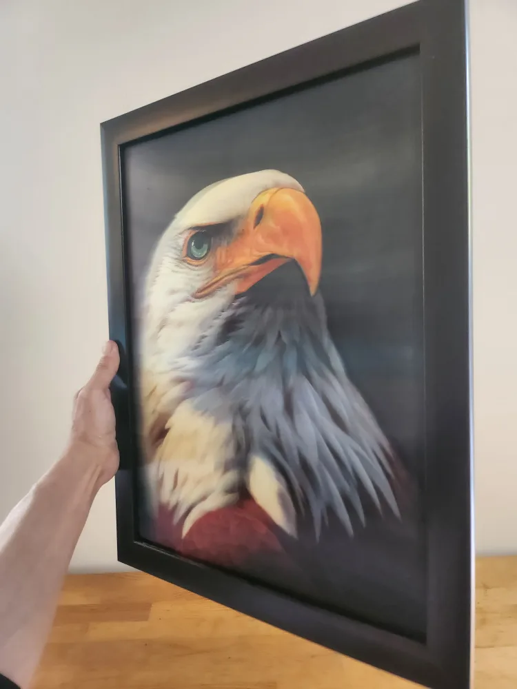 3D Eagle Art Print Framed image indicator(3)