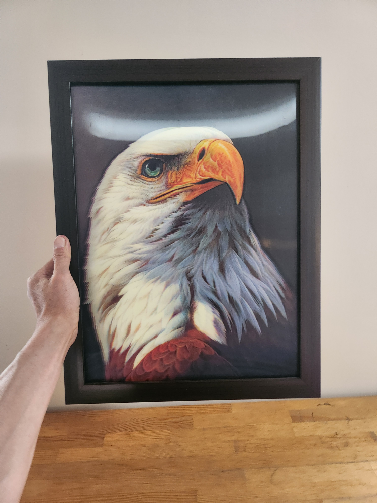 3D Eagle Art Print Framed - photo 4