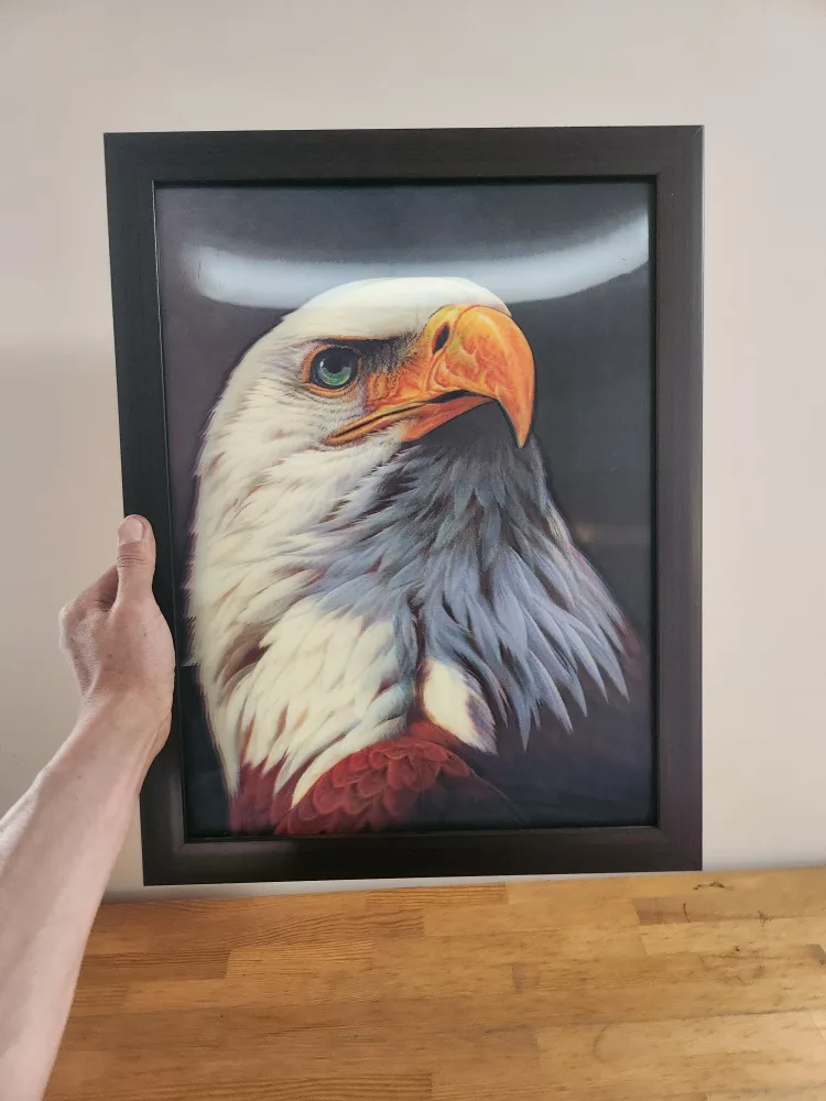 3D Eagle Art Print Framed image indicator(4)