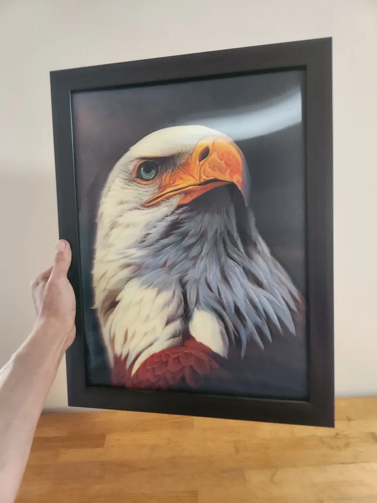 3D Eagle Art Print Framed image indicator(5)