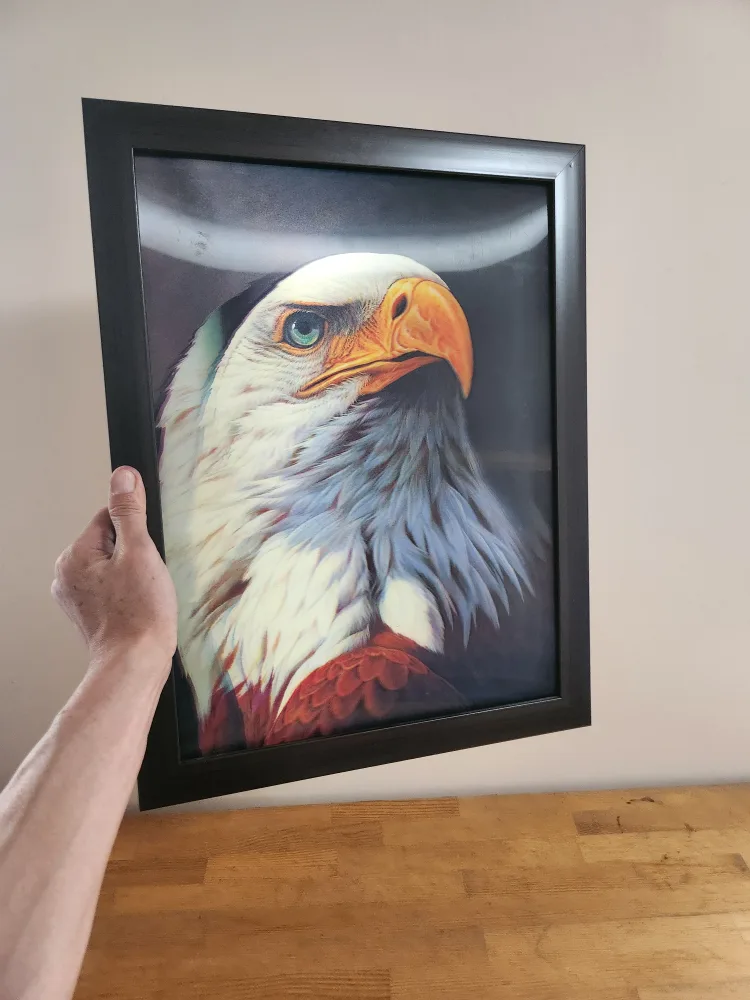 3D Eagle Art Print Framed image indicator(6)