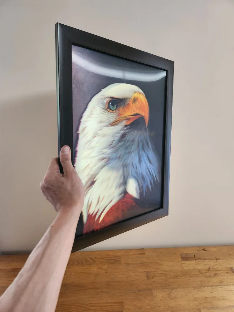 3D Eagle Art Print Framed image indicator(7)