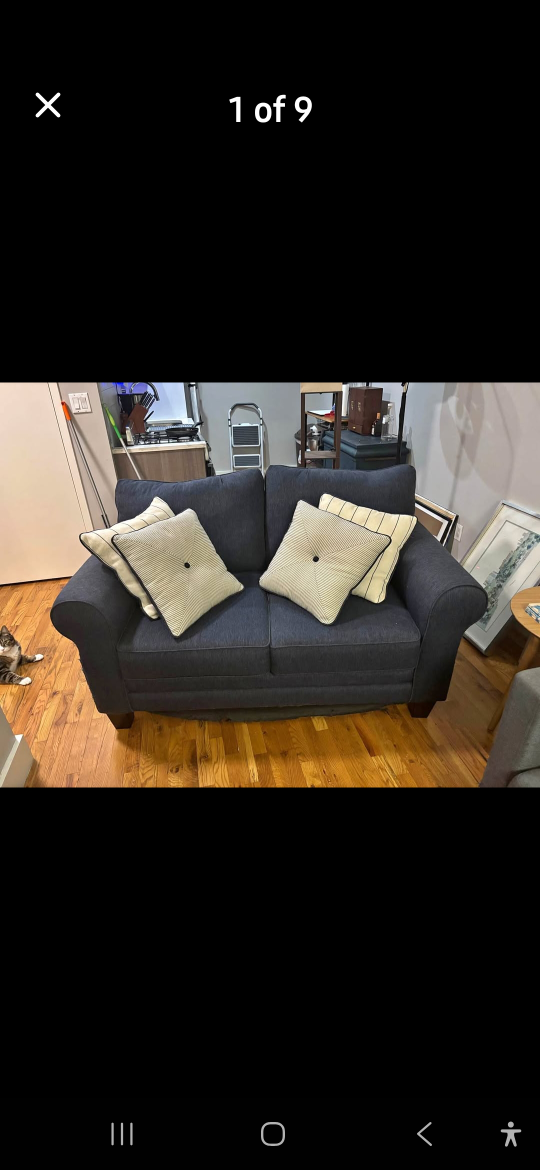 Blue Loveseat Sofa with Pillows