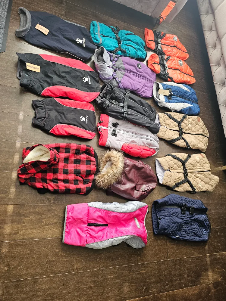 (New)winter jacket for dog, price between $25 to $35 each image indicator(3)