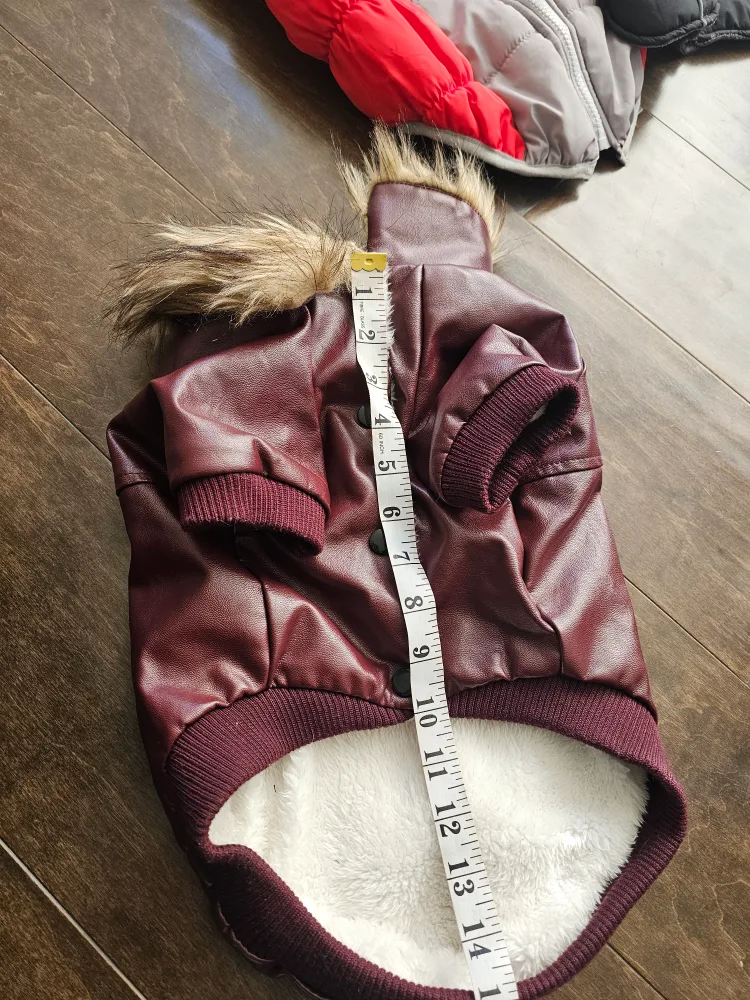 (New)winter jacket for dog, price between $25 to $35 each image indicator(10)