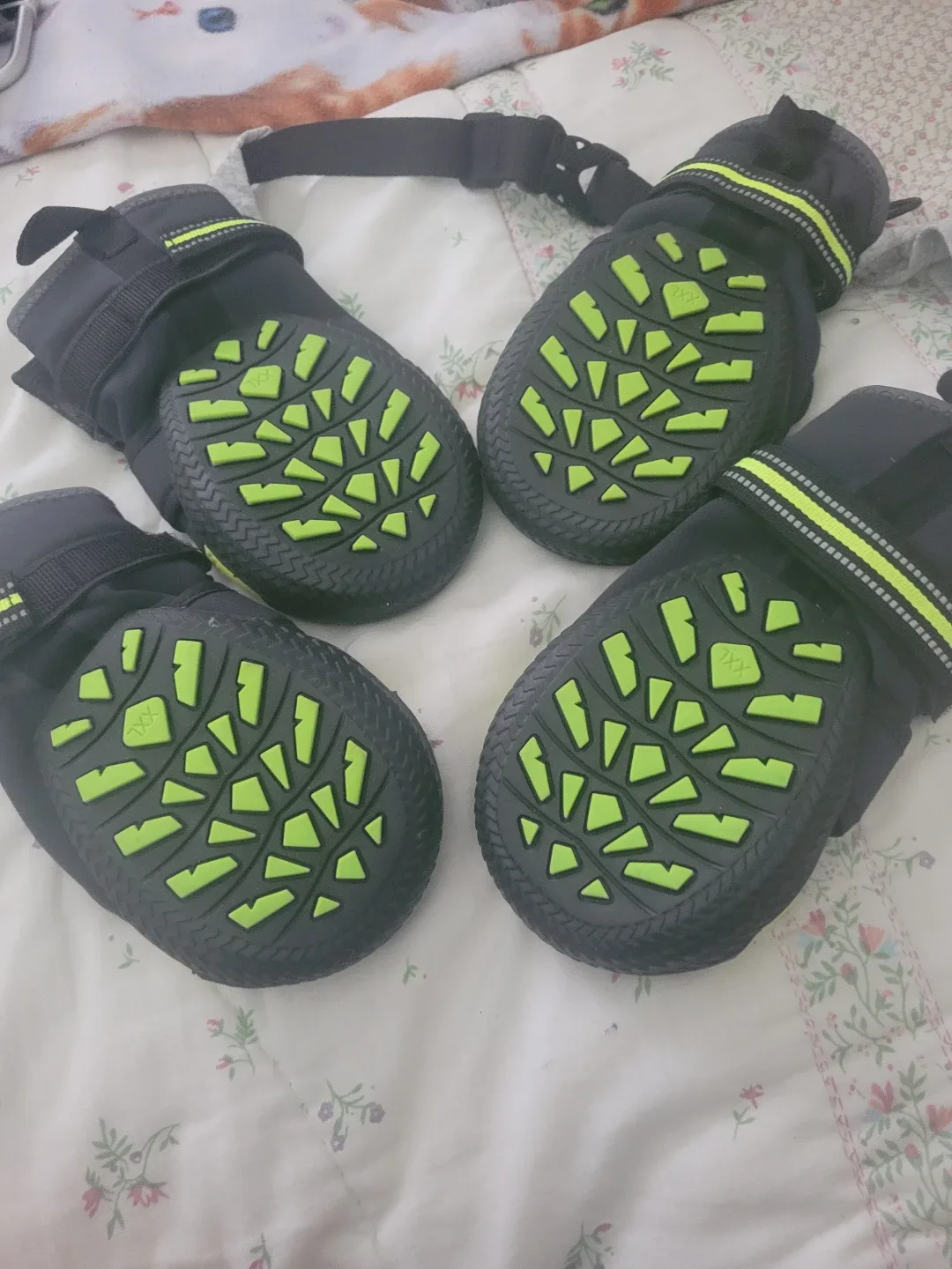 Arcadia Trail Dog Boots - Size Small image indicator(2)