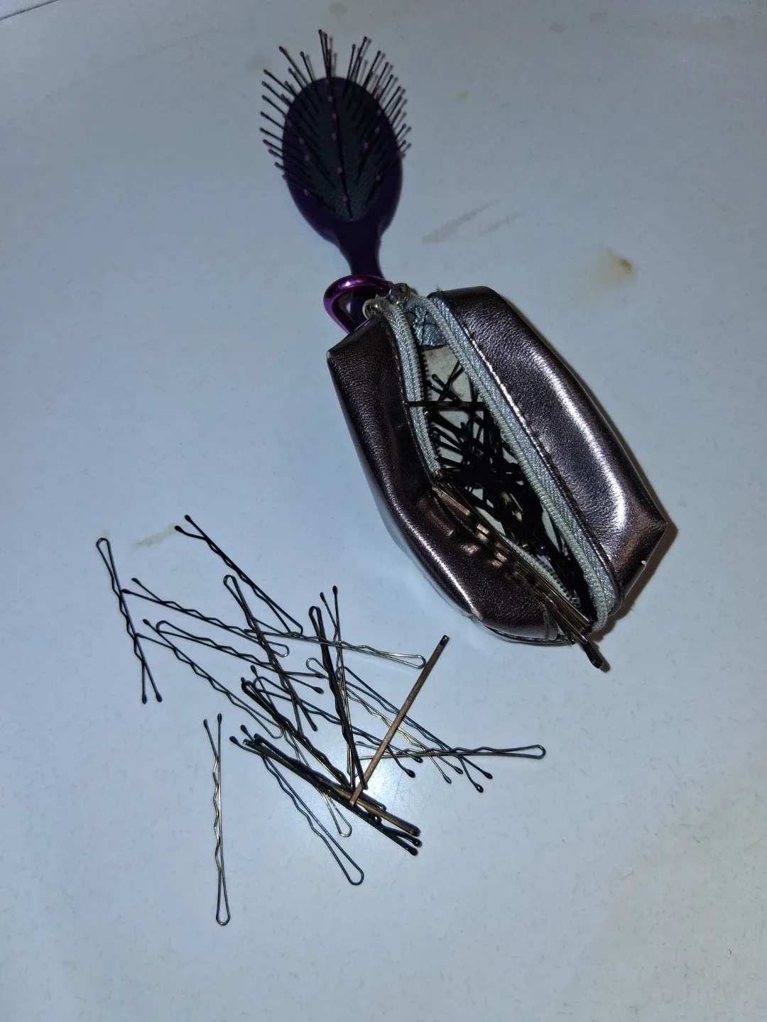 Bobby Pins with Zipper Pouch & Wet Brush