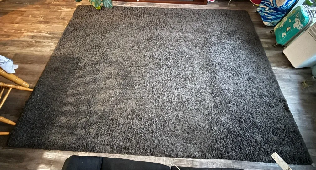 Grey living space Rug image indicator(2)