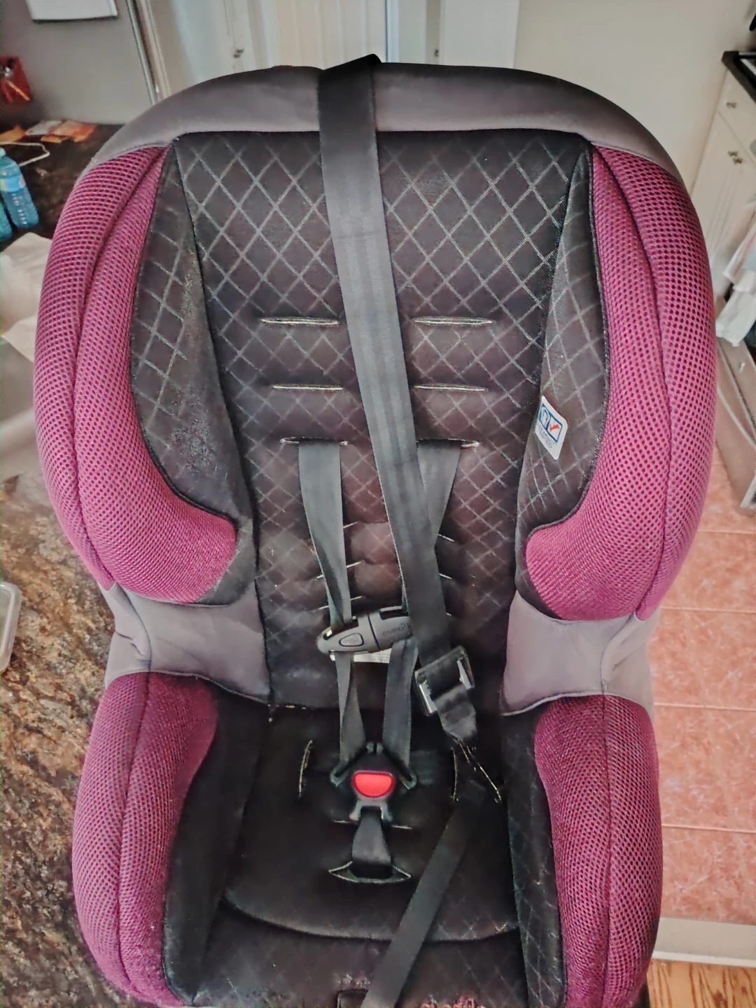 🥕Moving Sales Evenflo Car Seat - Purple & Black - photo 3