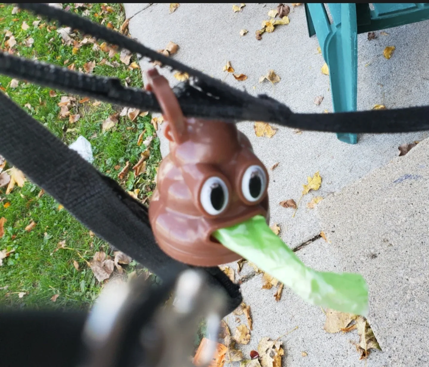 $20.00 / Day House Sitting - We are here, and always will be ♾️ image indicator(10)