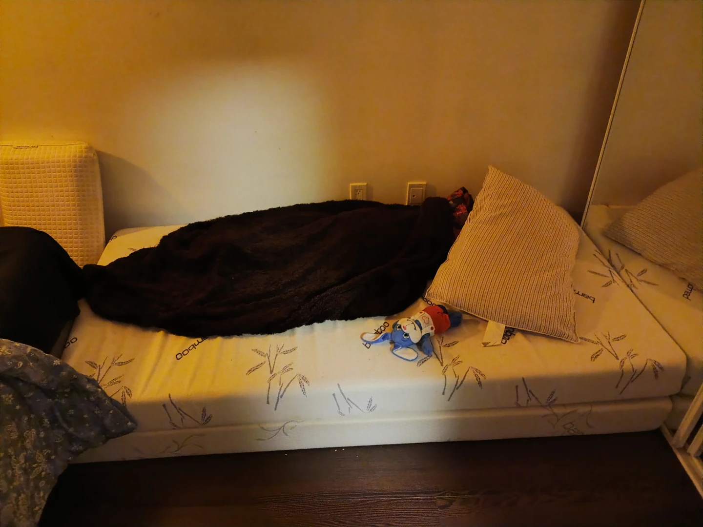Single Bamboo Mattress - Great Condition! - photo 3