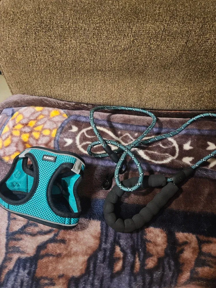 New Purako Puppy Harness, XS, Green