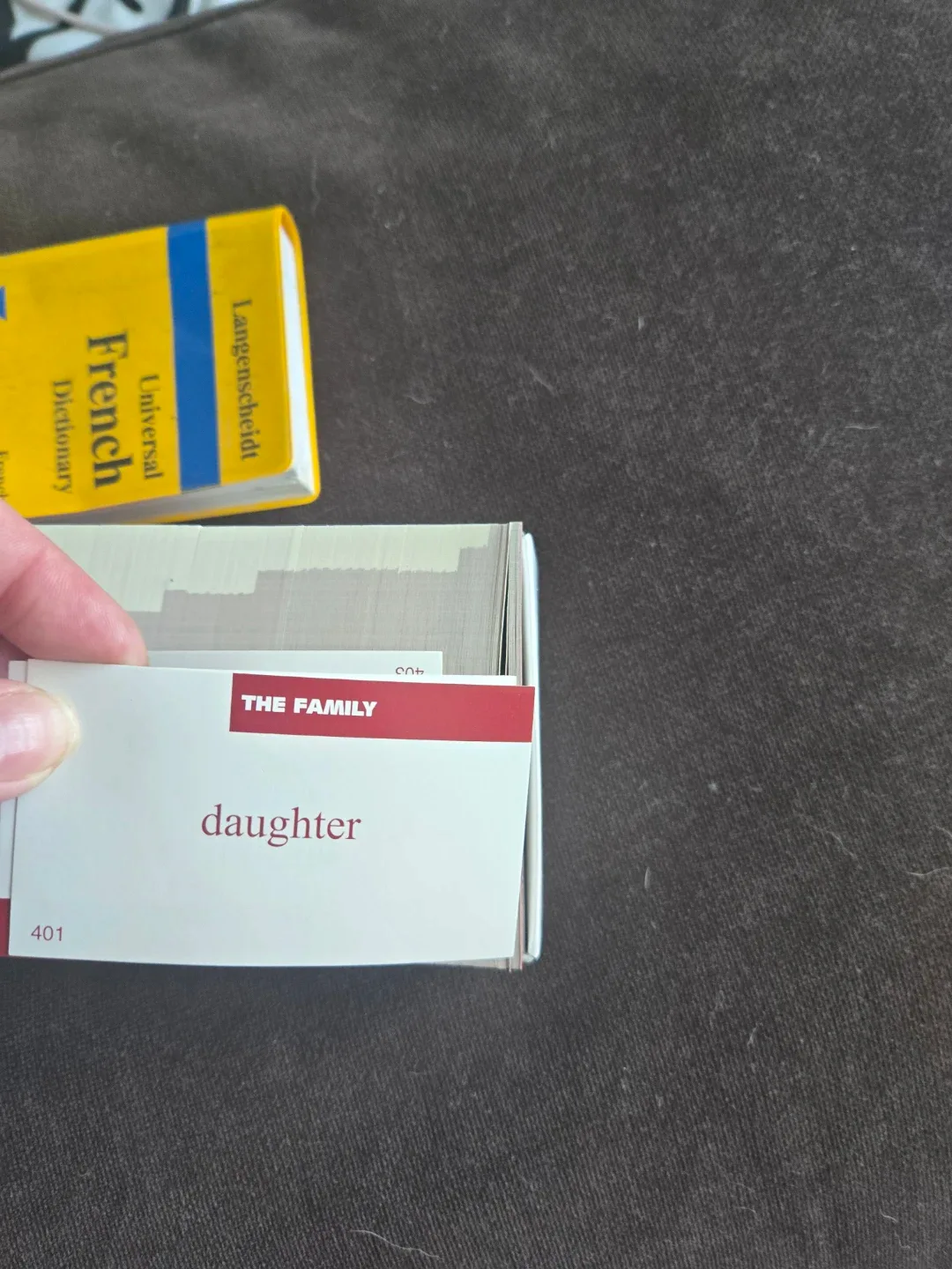 French Vocabulary Flash Cards & Dictionary image indicator(2)