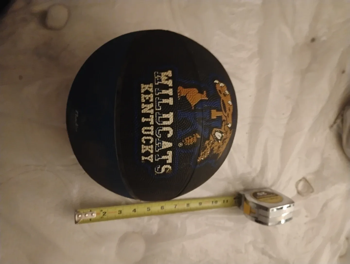 Kentucky Wildcats Basketball image indicator(5)