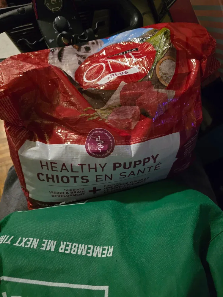 Purina One Healthy Puppy Food