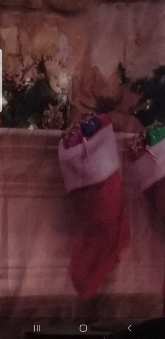 Christmas Theme Backdrop Cloth image indicator(5)