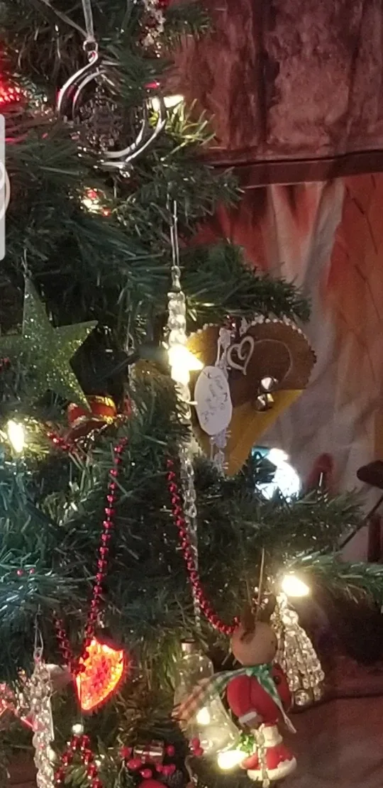 Christmas Theme Backdrop Cloth image indicator(6)