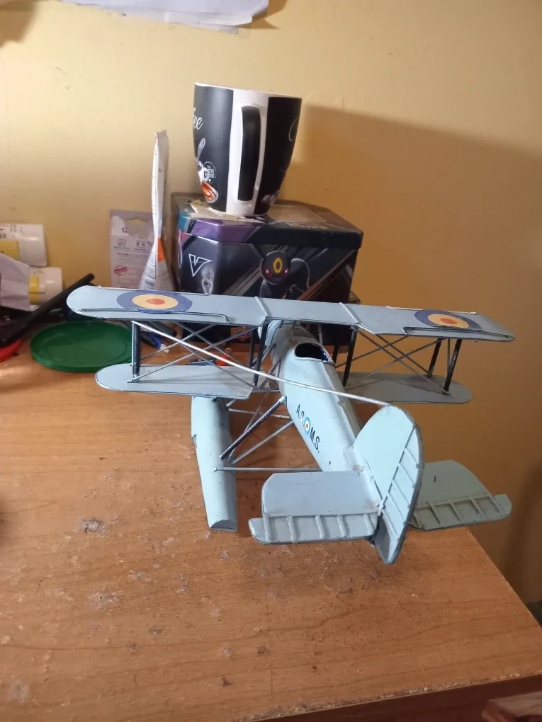 VINTAGE STYLE NOT VINTAGE AIRPLANE image indicator(2)