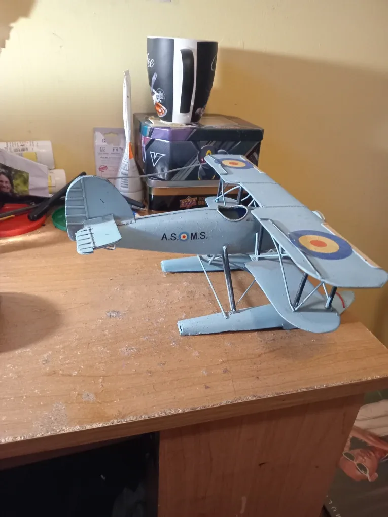 VINTAGE STYLE NOT VINTAGE AIRPLANE image indicator(3)