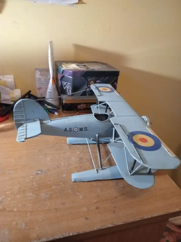 VINTAGE STYLE NOT VINTAGE AIRPLANE image indicator(6)