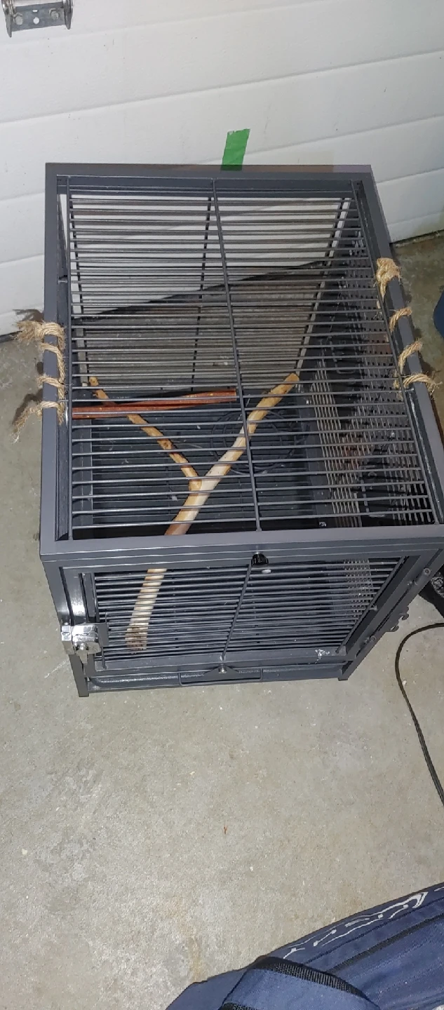 Bird Cage - Great Condition!
