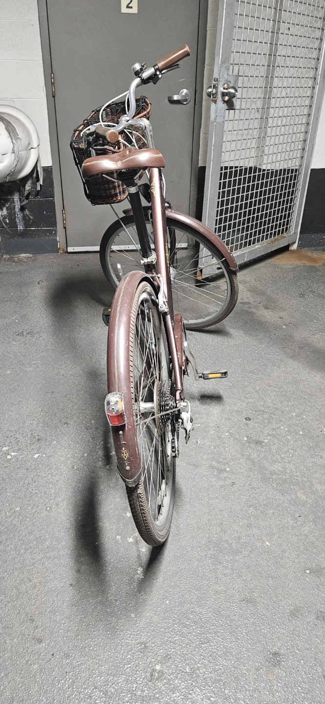 Liv Flourish 2 Ladies Bike - Brown - photo 3