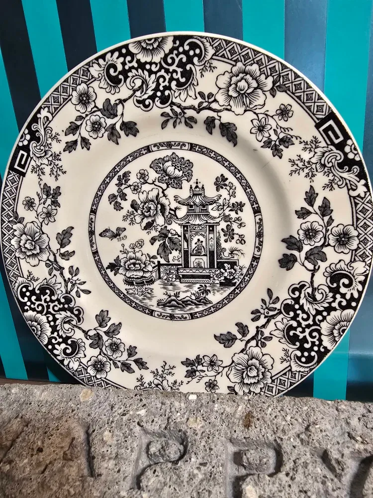 Myott Son & Co Indiana Plate image indicator(2)