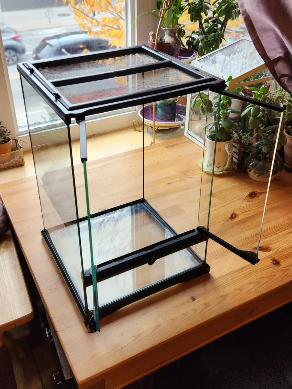 Exo Terra Glass Terrarium Mini Tall image indicator(2)