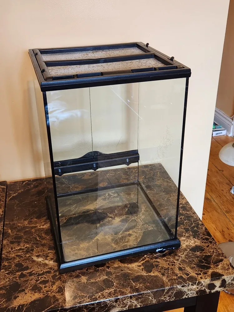 Exo Terra Glass Terrarium Mini Tall image indicator(5)