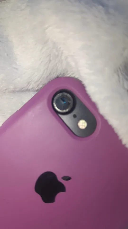 iPhone in Purple Case image indicator(3)