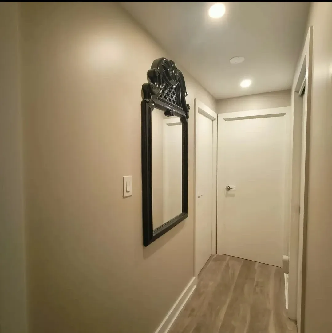 Rare Find - Black Large Vintage Wall Mirror