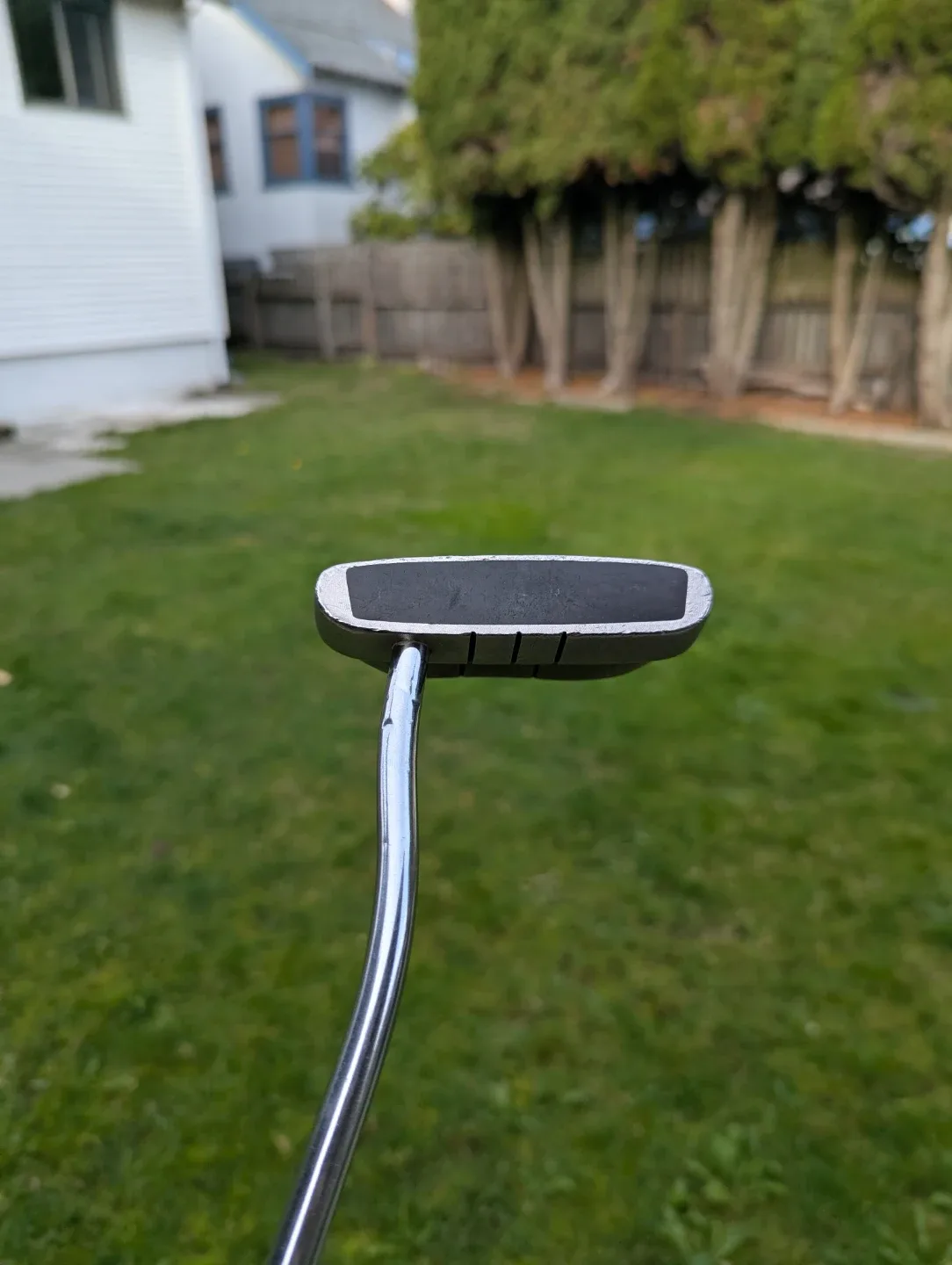 Odyssey Dual Force Rossie I Putter image indicator(3)